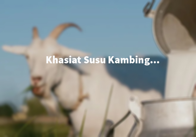 Khasiat Susu Kambing yang Perlu Anda Ketahui